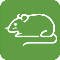 Servus-WebGfx-rat-icon
